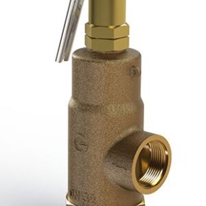 G100 High Lift Safety Relief Valves